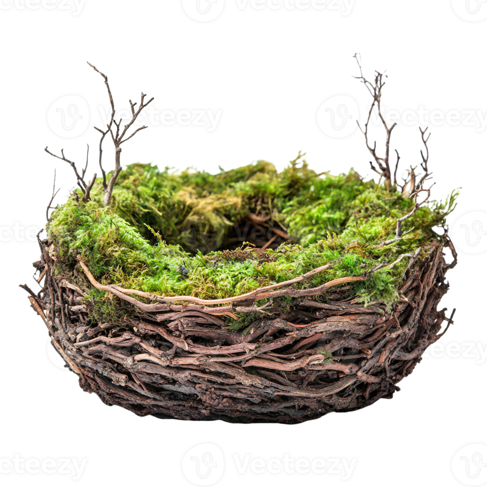 Mossy bird nest with intricate organic textures and natural charm isolated on a transparent background png