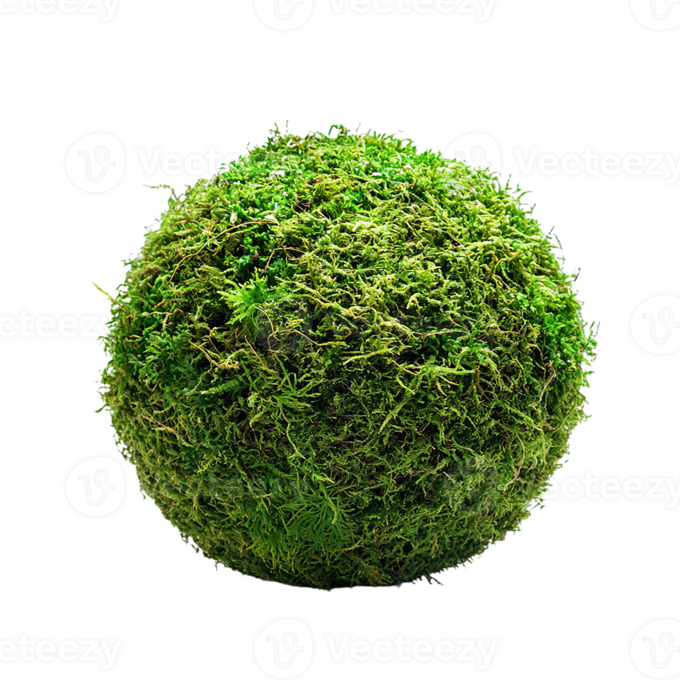 Lush and Dense Green Moss Sphere Isolated on a Transparent Background png