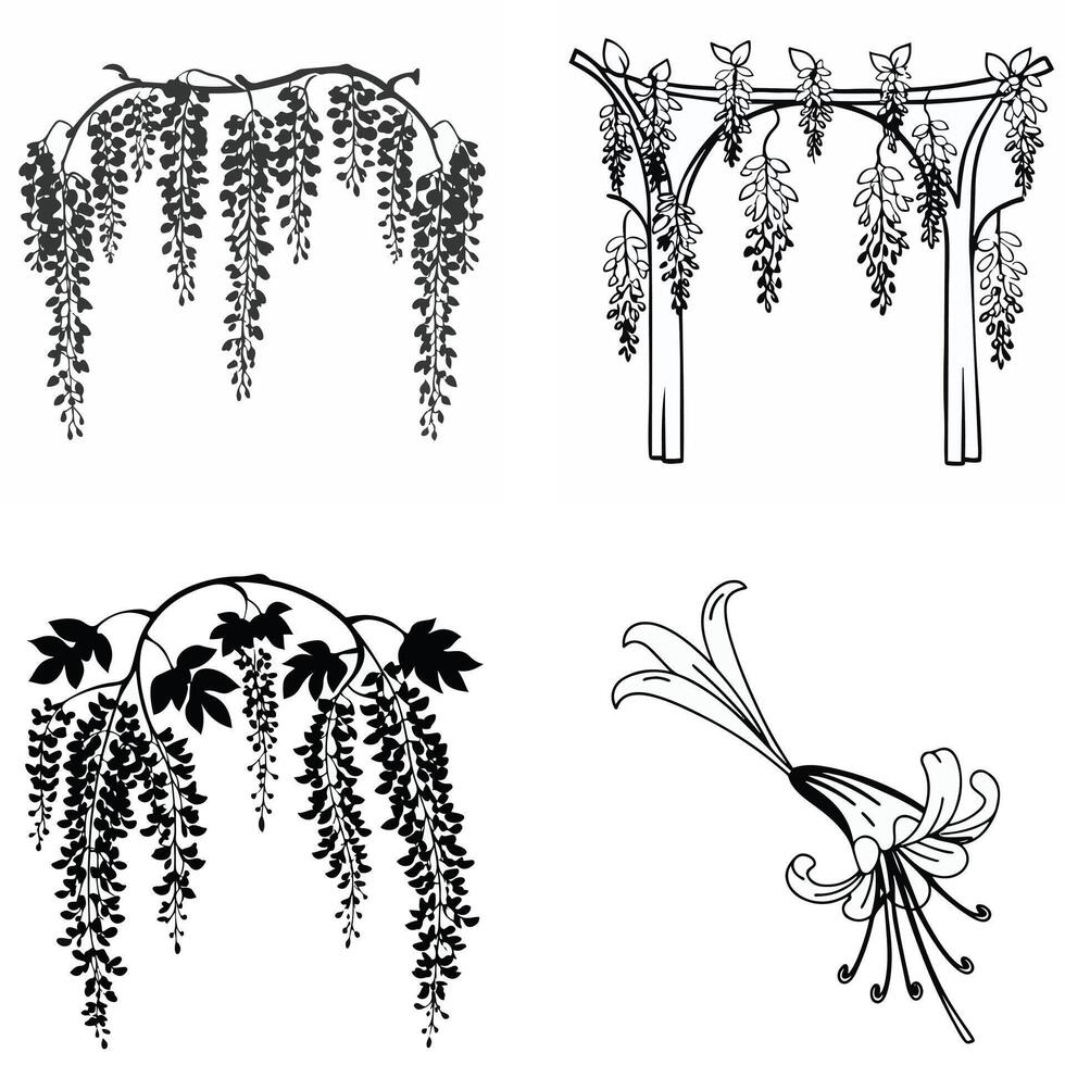 Flower Outline Graphics vector
