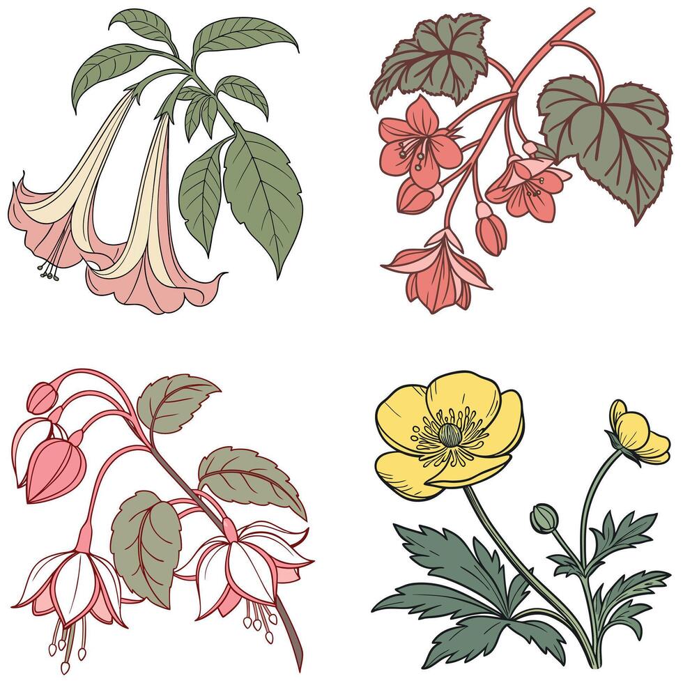 Flower Illustrations Set vector
