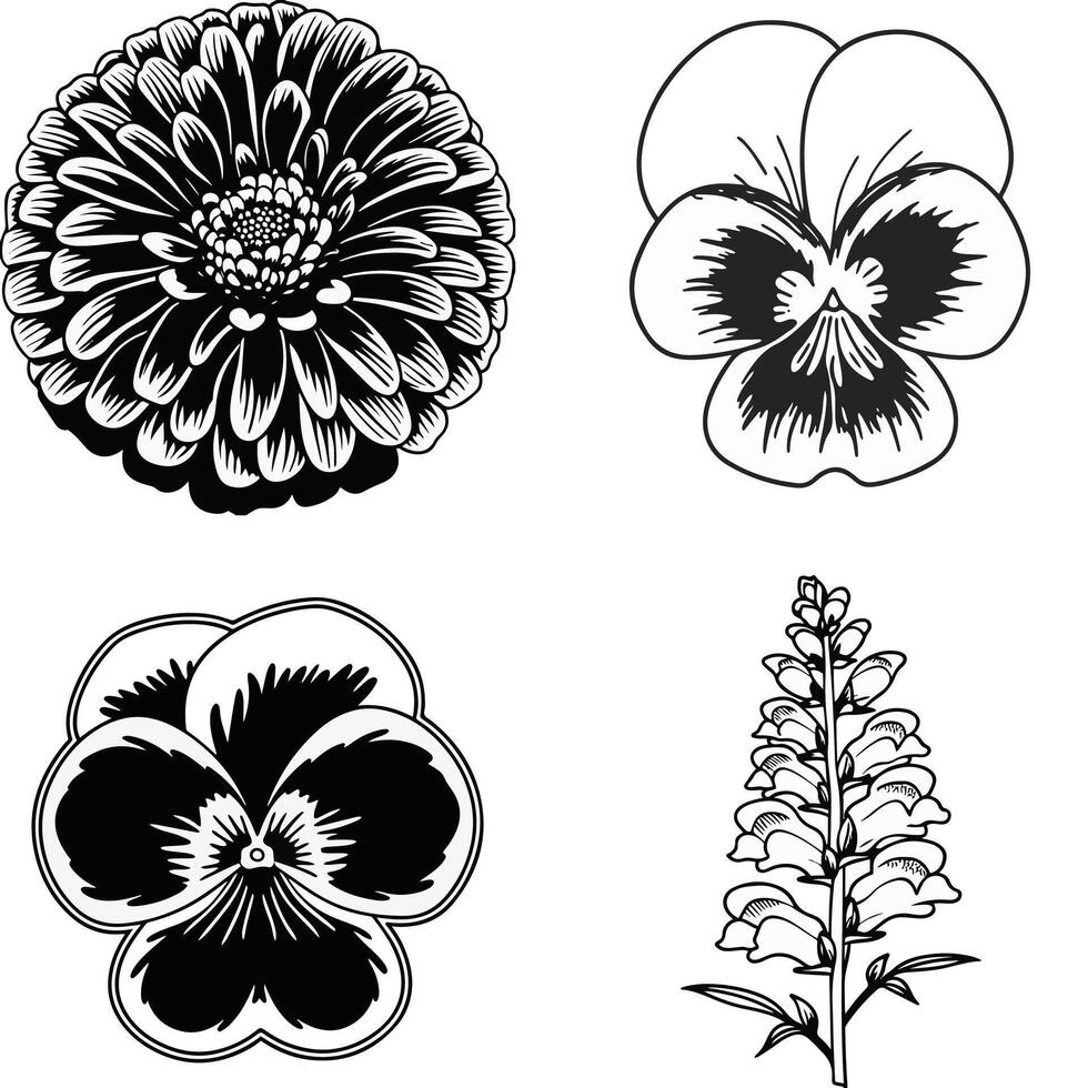 Line Art Flower Designs vector