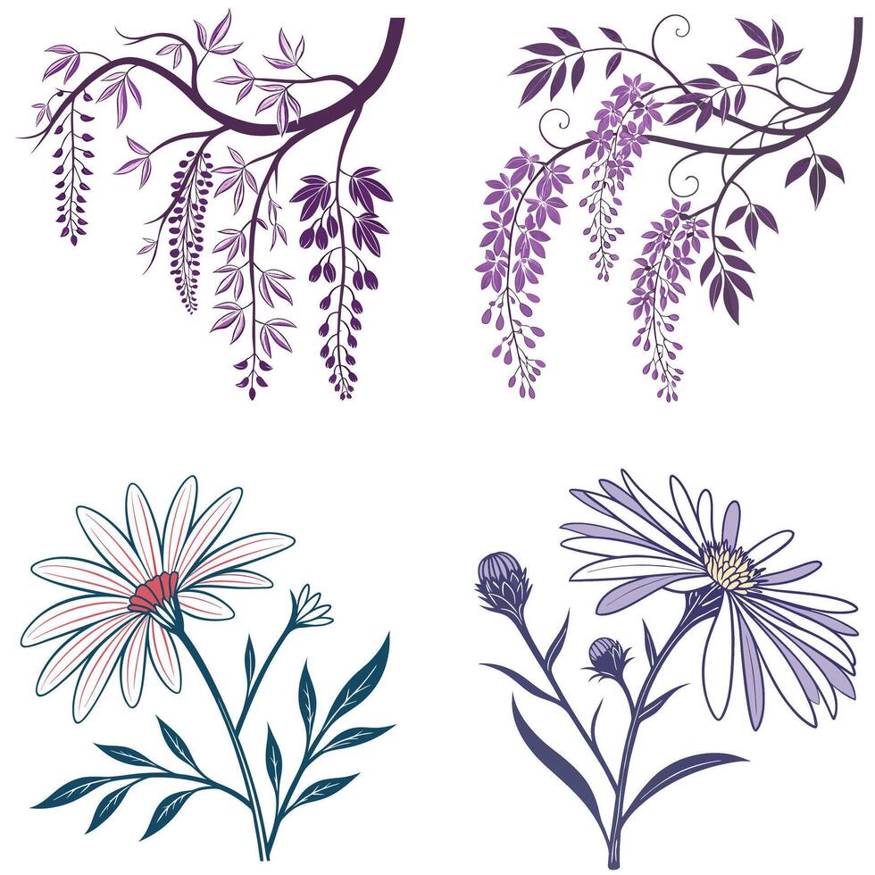 Forget-me-not Flower Graphics vector