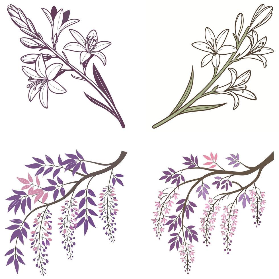 Floral Illustrations Collection vector