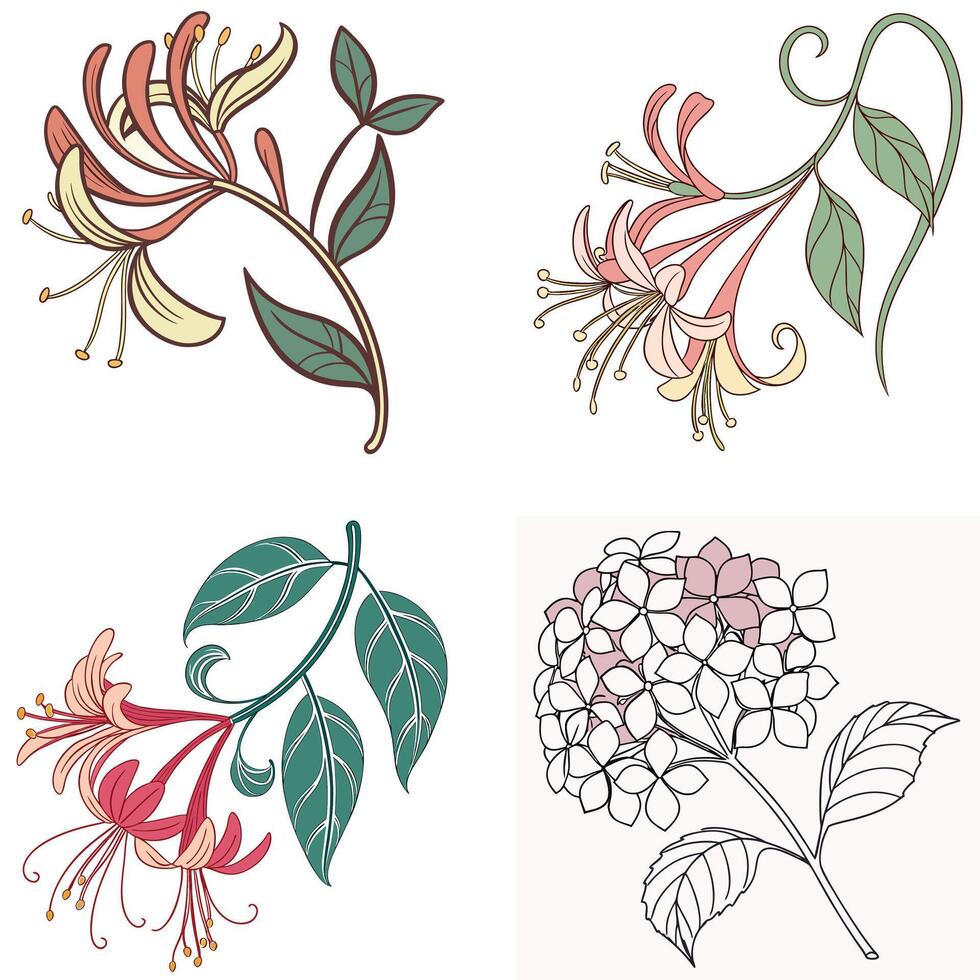 Floral Design Elements vector