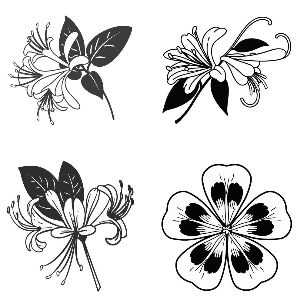Flower Line Art vector