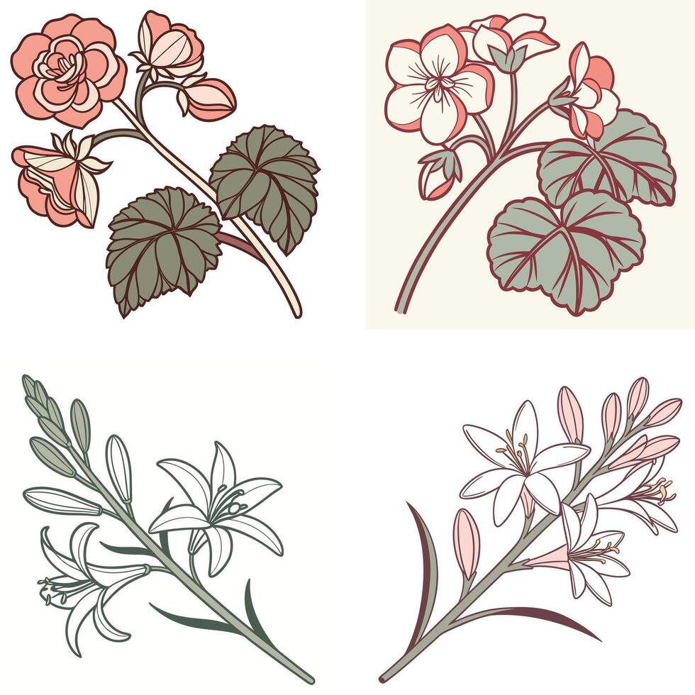 Nature-Inspired Flower Graphics vector