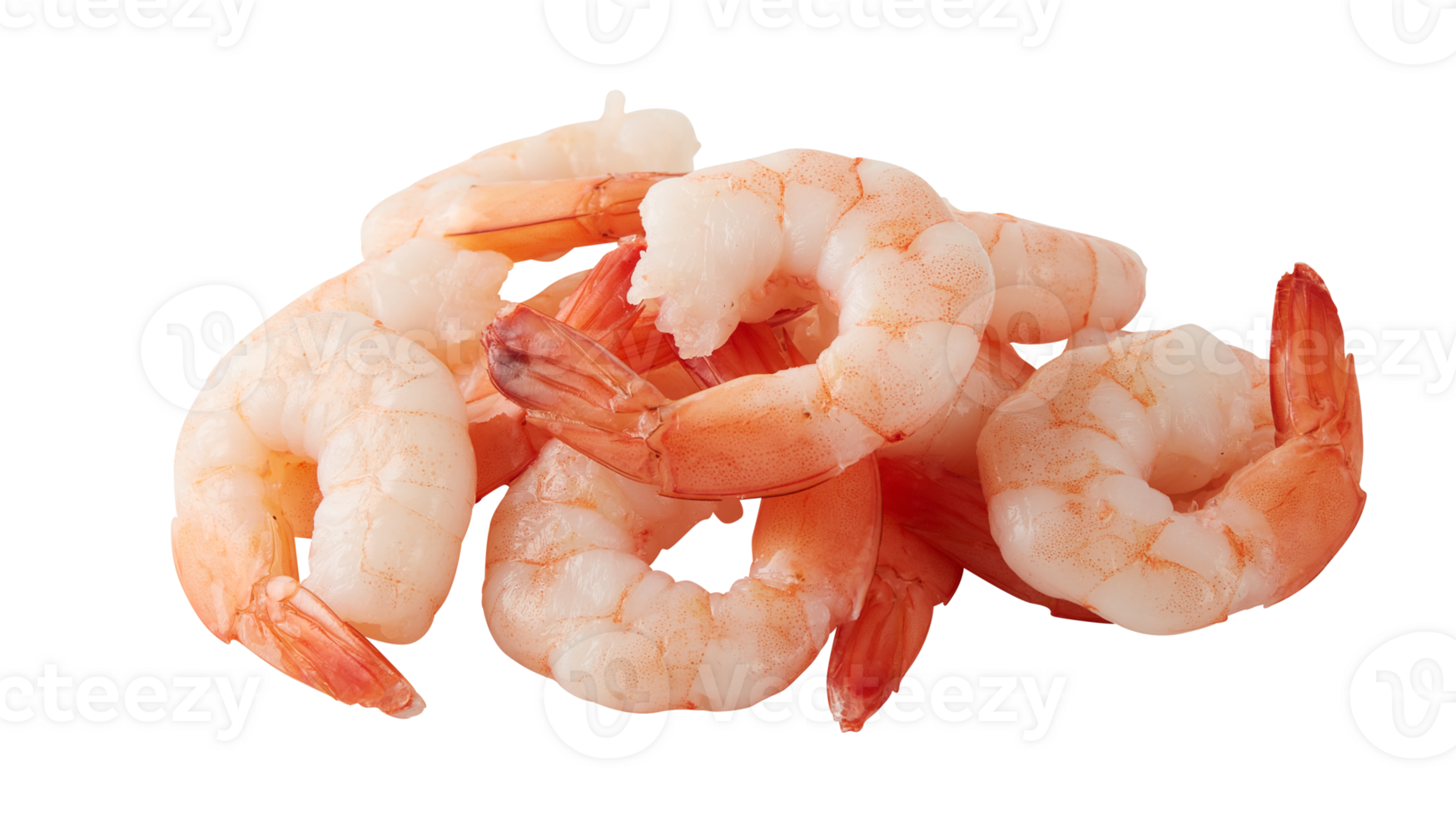 shrimp cut out isolated transparent background png