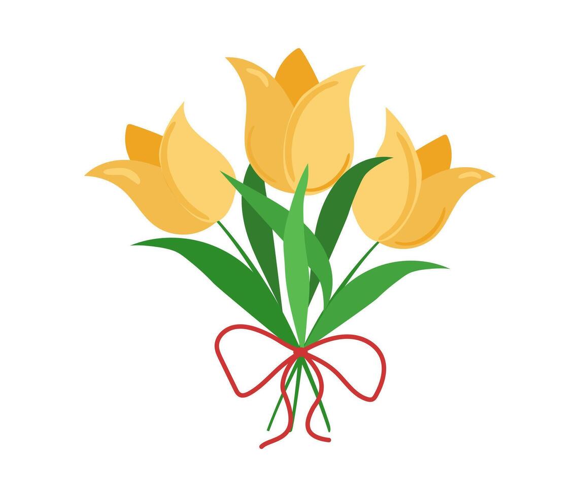 Flowers, yellow tulips with a bow. Spring season. Drawing, isolated on white background. vector