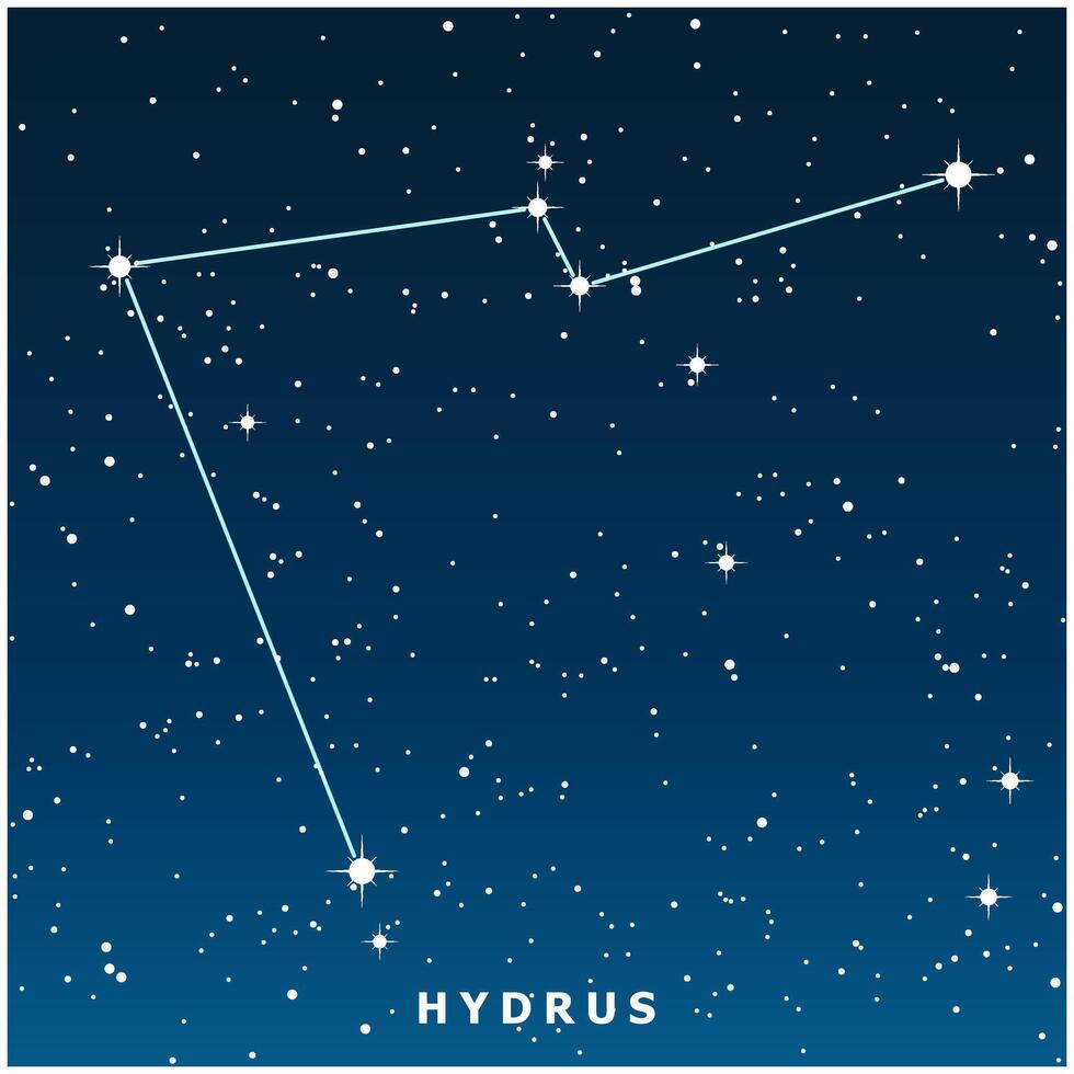 A dark blue illustration of the Hydrus constellation with glowing stars vector