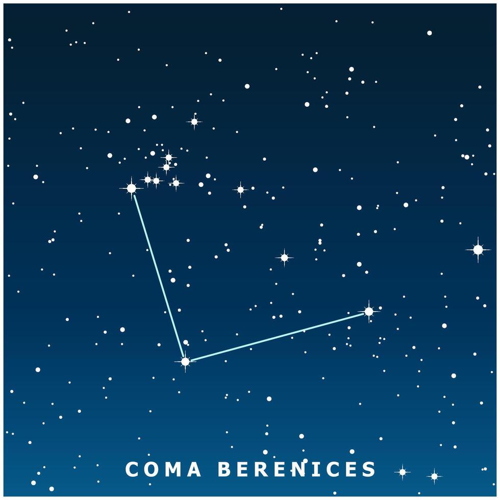 A dark blue illustration of the Coma Berenices constellation with glowing stars vector