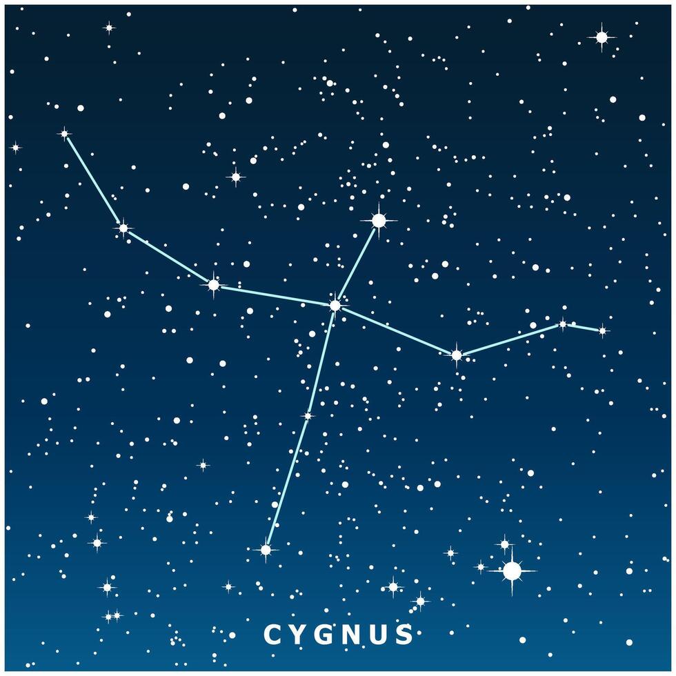 A dark blue illustration of the Cygnus constellation with glowing stars vector