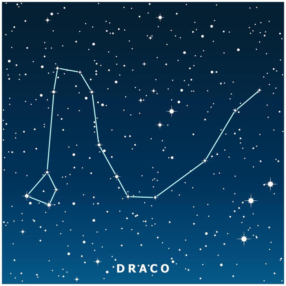 A dark blue illustration of the Draco constellation with glowing stars vector