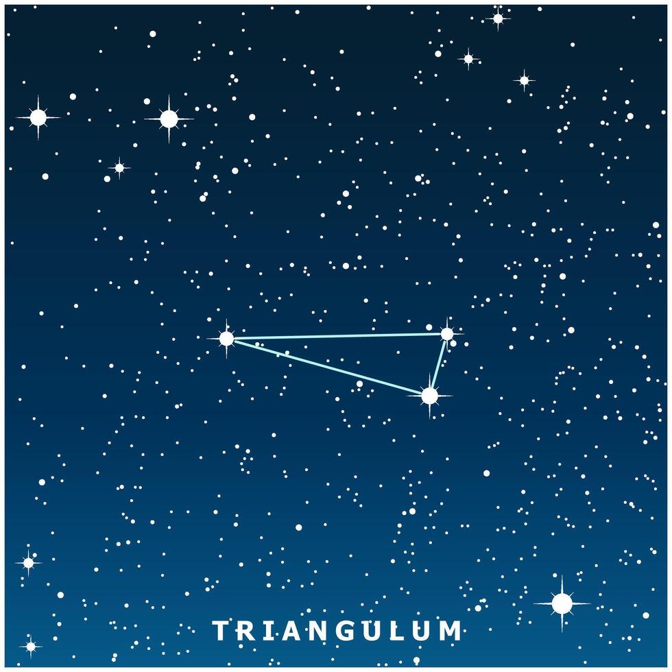 A dark blue illustration of the Triangulum constellation with glowing stars vector