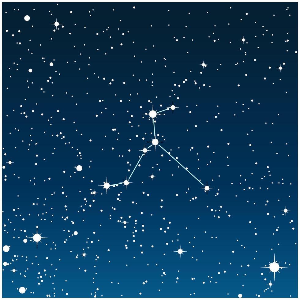 A dark blue illustration of the Columba constellation with glowing stars vector