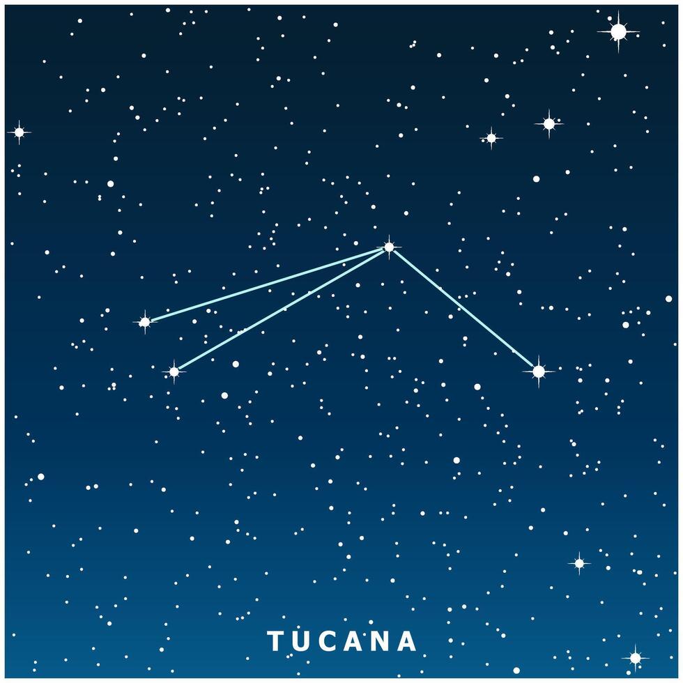 A dark blue illustration of the Tucana constellation with glowing stars vector