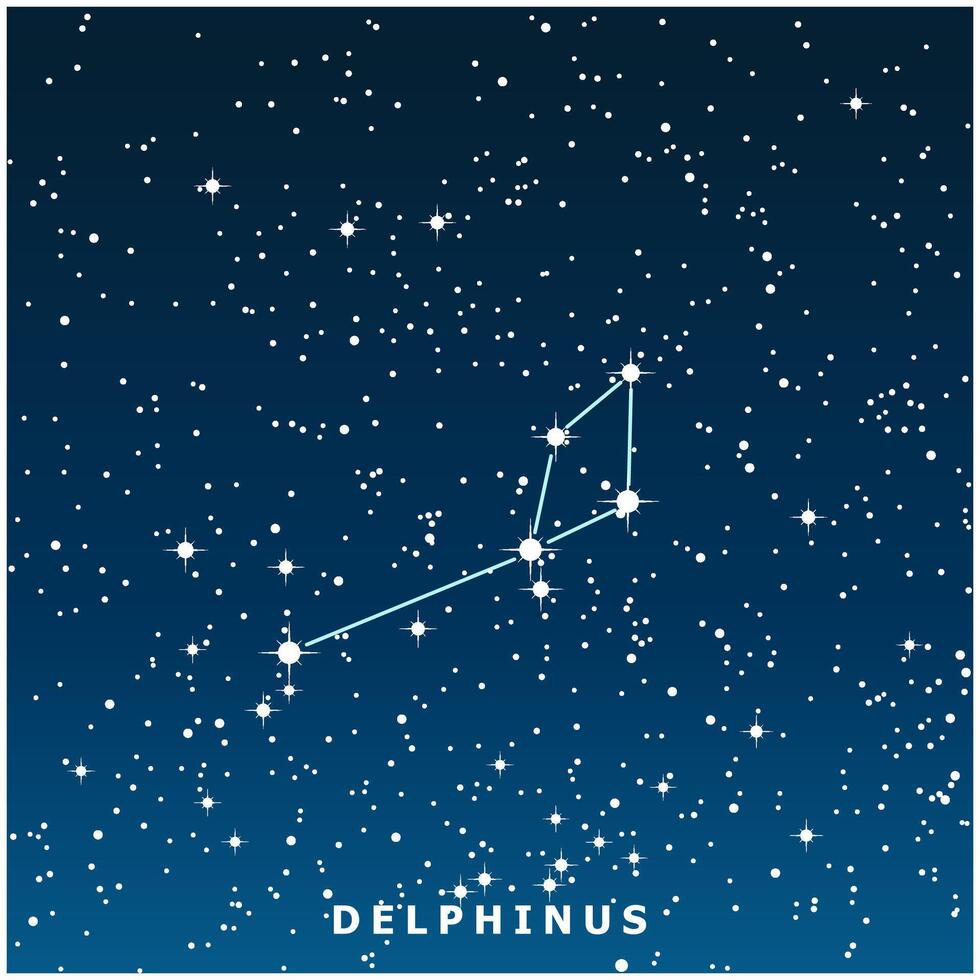 A dark blue illustration of the Delphinus constellation with glowing stars vector
