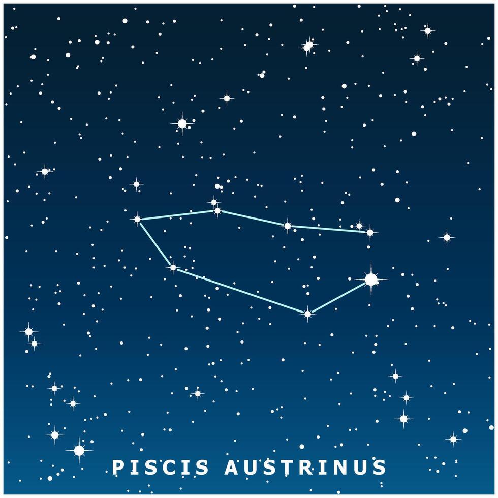 A dark blue illustration of the Piscis Austrinus constellation with glowing stars vector