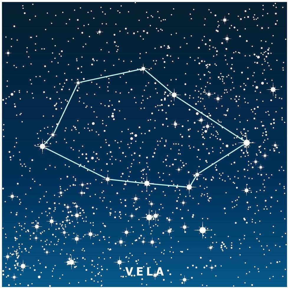 A dark blue illustration of the Vela constellation with glowing stars vector