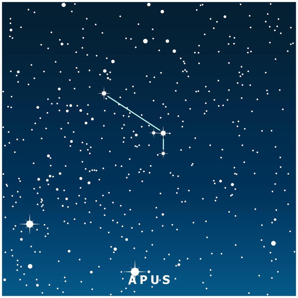 A dark blue illustration of the Apus constellation with glowing stars vector