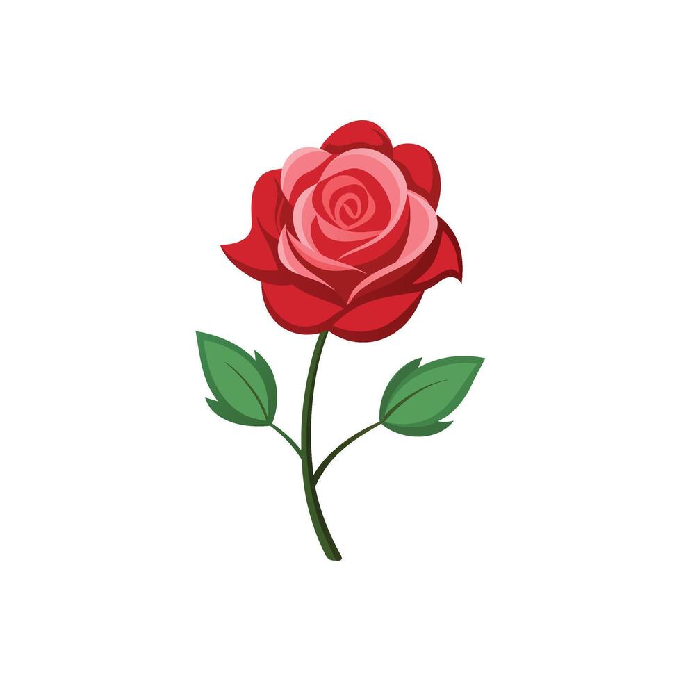 Elegant Rose Bloom Graceful Floral Illustration Design On White Background vector