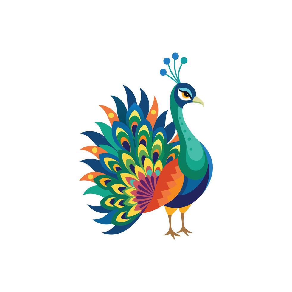 Majestic Peacock with Vibrant Feathers vector