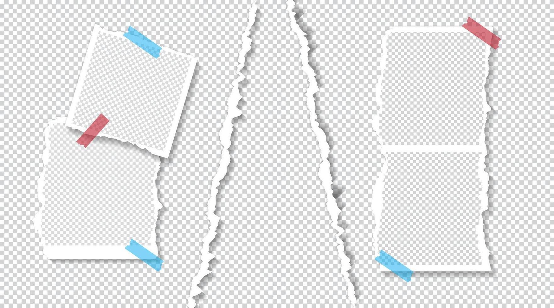 photo frames template design with shadow effect vector