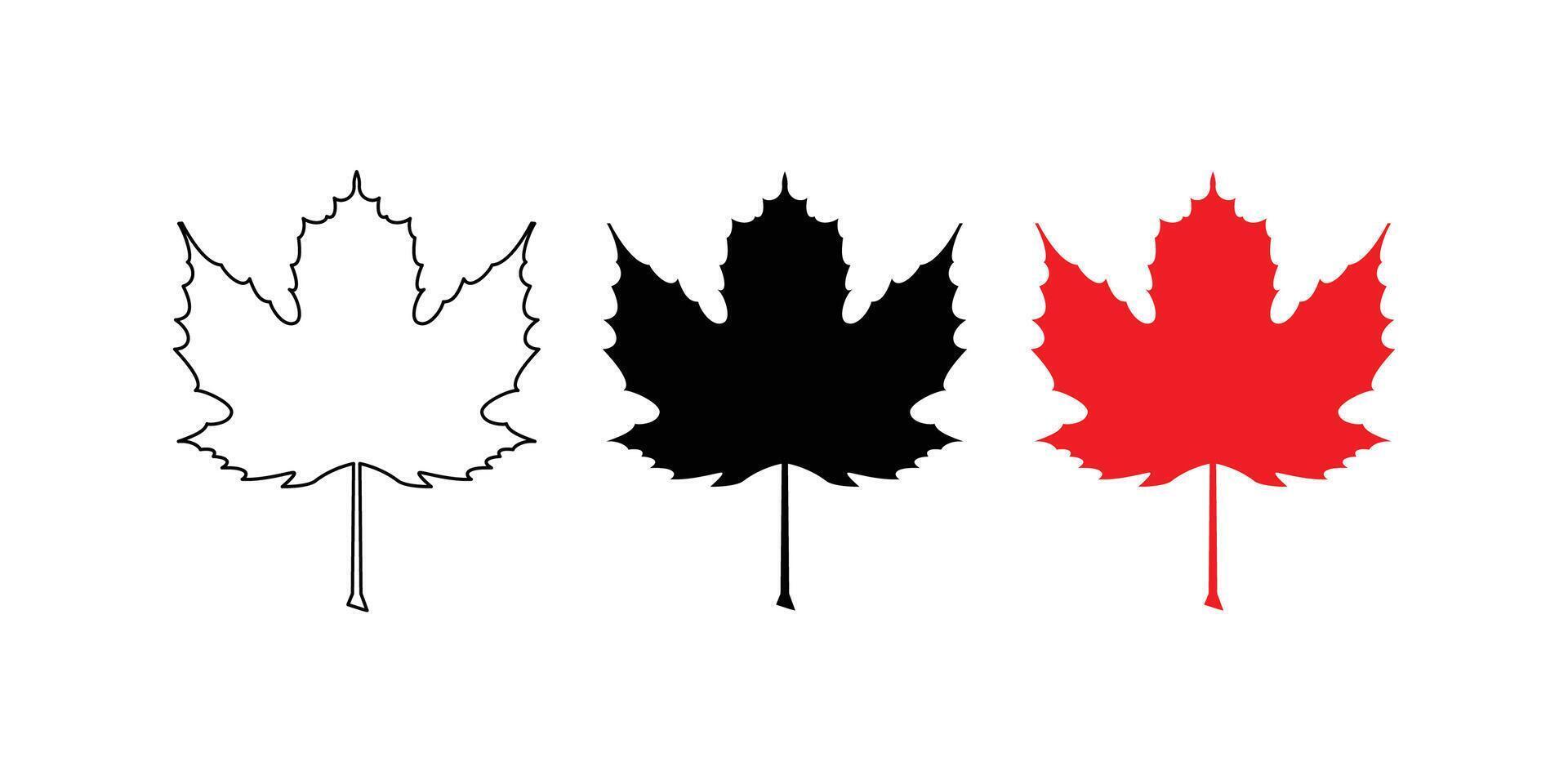 Autumn maple colorful leaves set isolated on white background vector