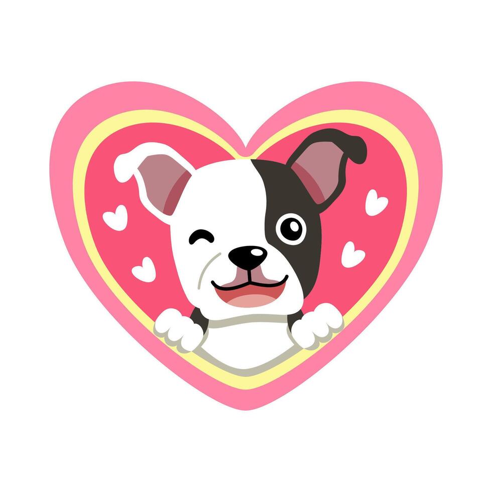 cartoon valentine cute boston terrier dog with big heart for design. vector