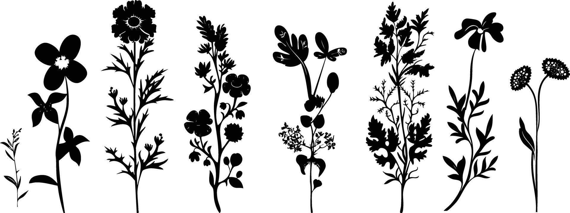 Intricate black floral silhouette collection vector