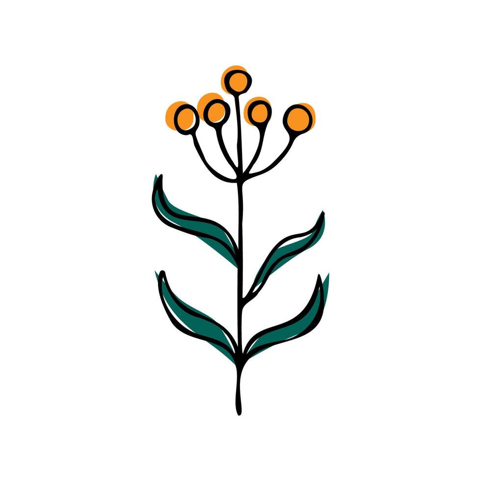 cartoon drawing of a flower. tansy doodle with colored spots on a white background. vector