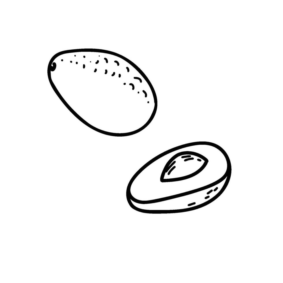 Avocado illustration in Doodle style. Whole and half fruit Slice isolated on a background. Simple black and white outline. For product packaging, menu, logos. vector