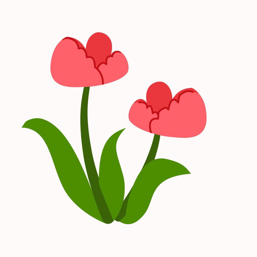 Cute red tulip flower vector