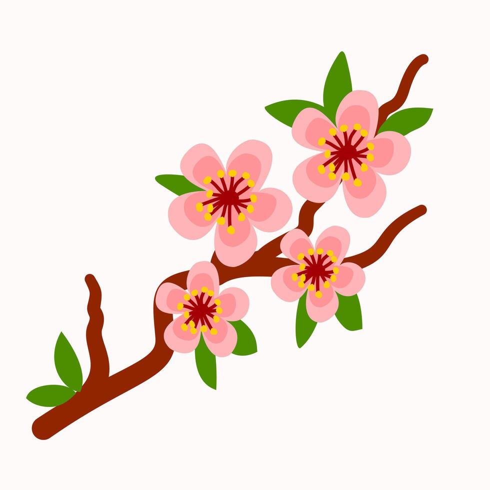 Cute cherry blossom flower sakura vector
