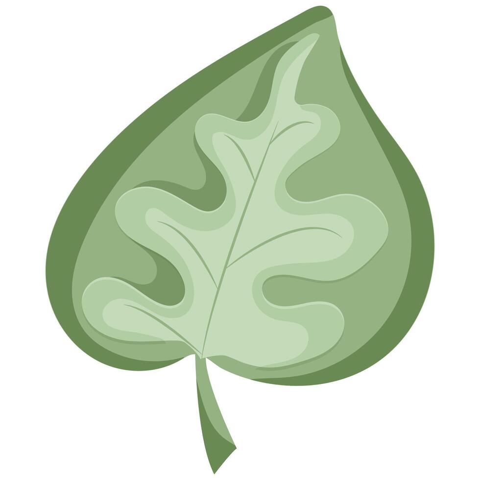 original icon of a round green leaf from a hardwood tree with various shadows, for various designs or patterns vector