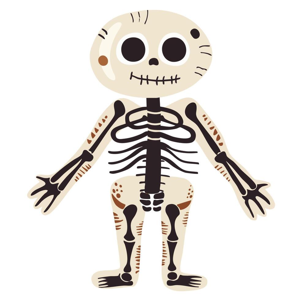 Cute cartoon skeleton character with friendly expression, ideal for Halloween themes or educational purposes. This playful design features exaggerated features and whimsical style vector