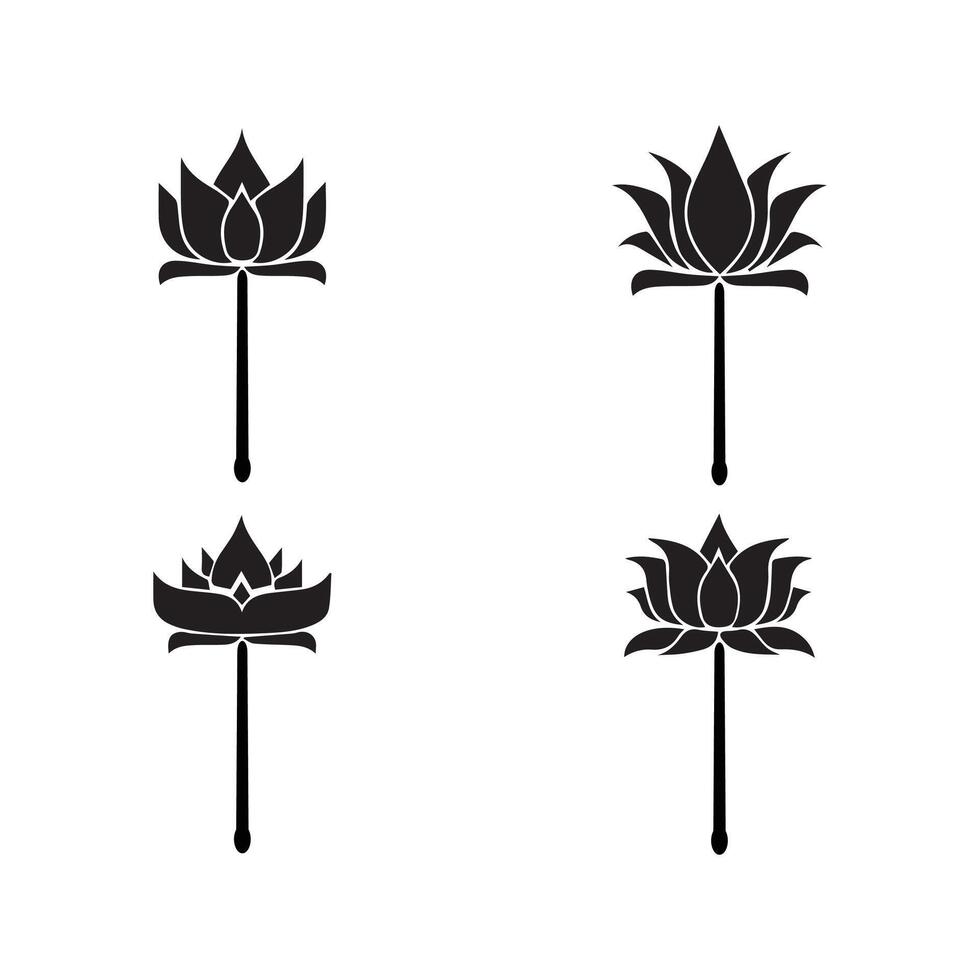The Mystery of the Lotus vector