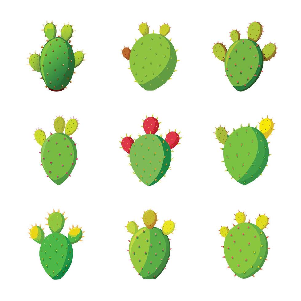 Cactus set on white vector