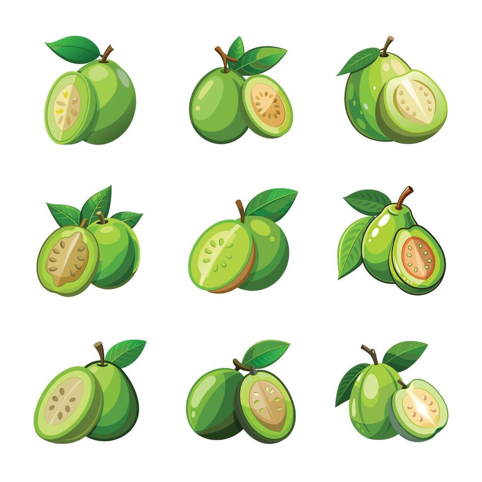 Set of guava fruit isolated on white vector