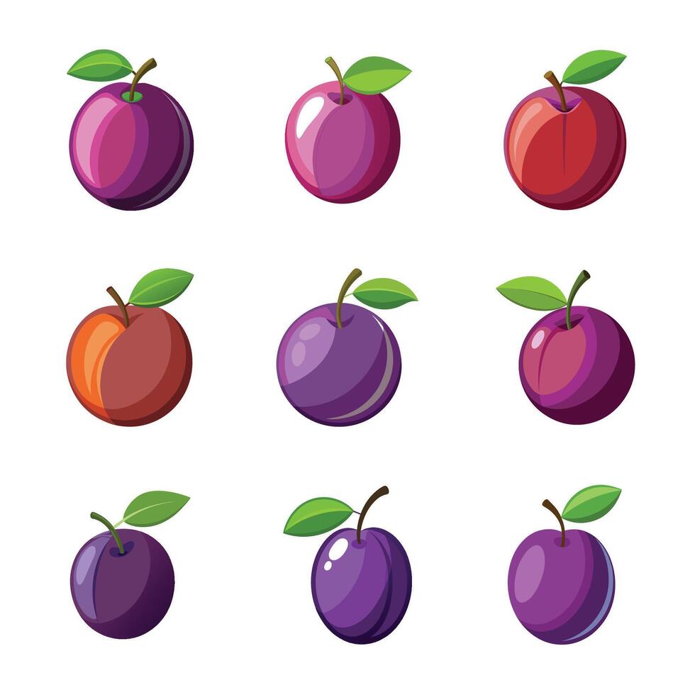 Set of realistic plum fruit. vector
