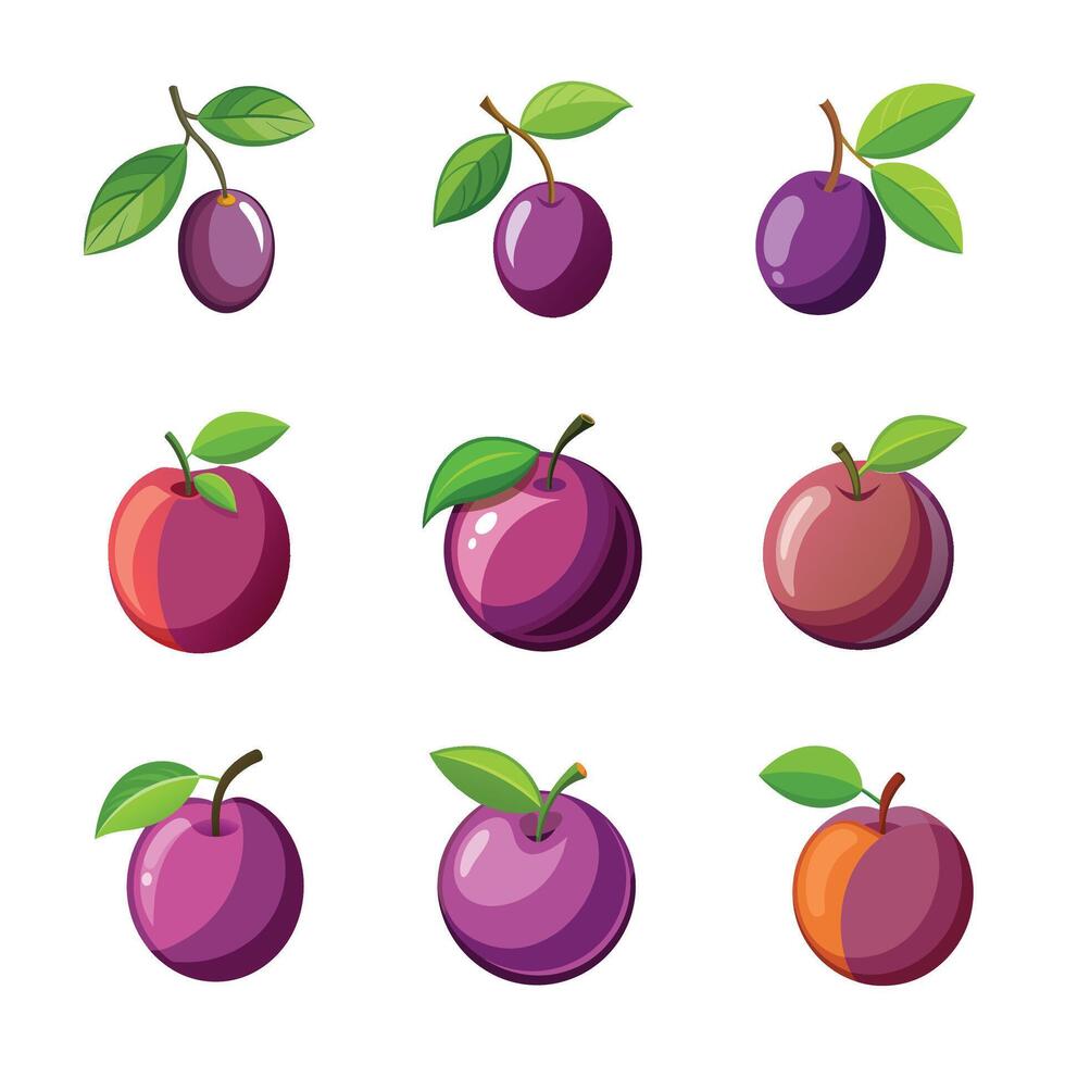 Detailed plum fruit seton white vector