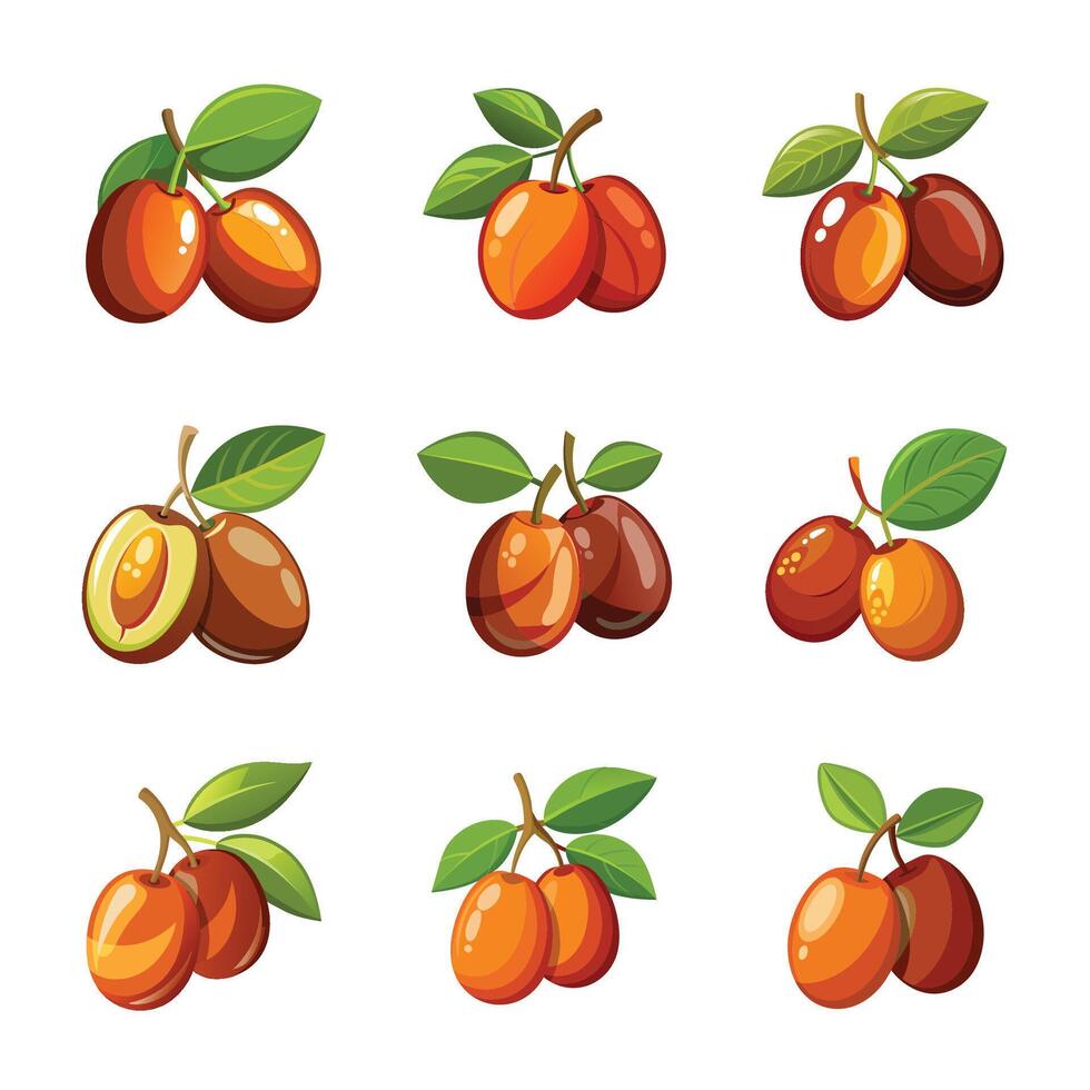 Fruit set on white vector