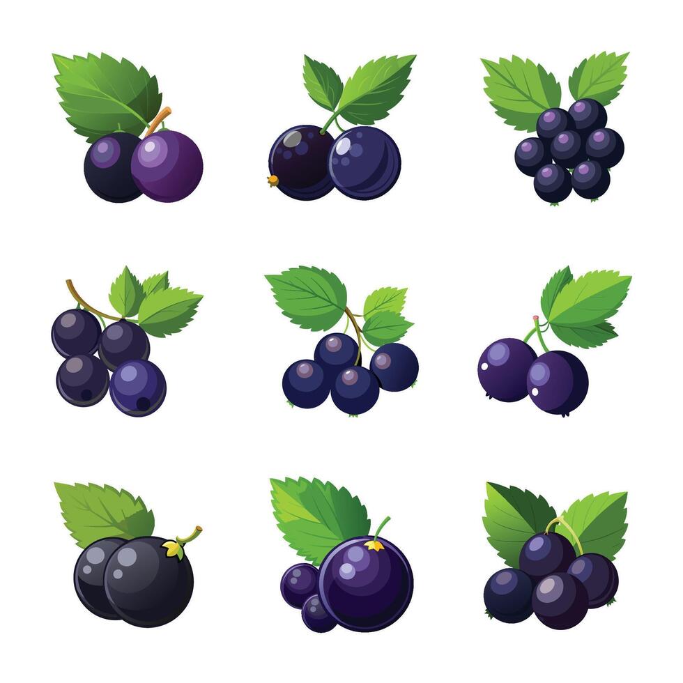 Black plum fruit set vector