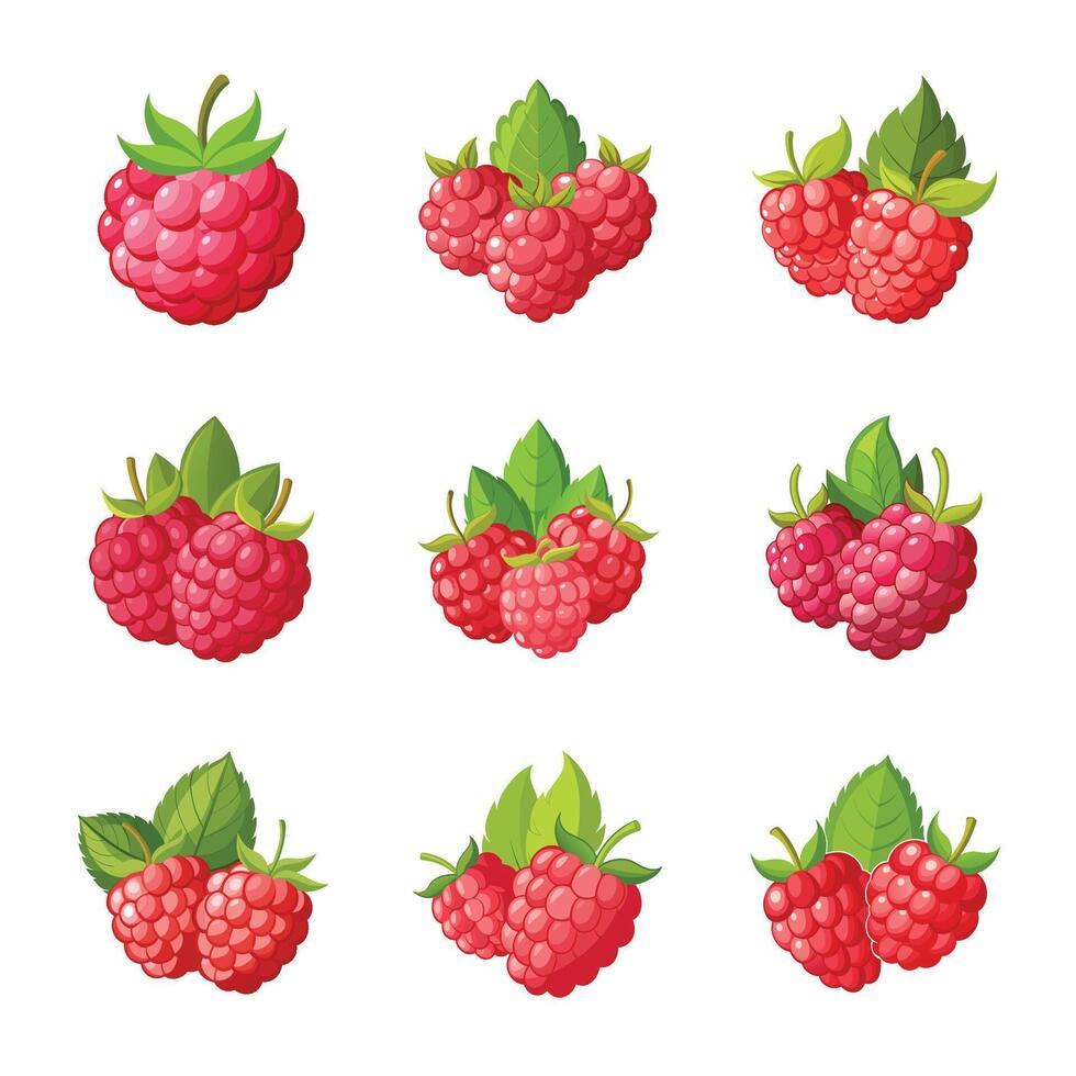 Juicy raspberry fruit set vector