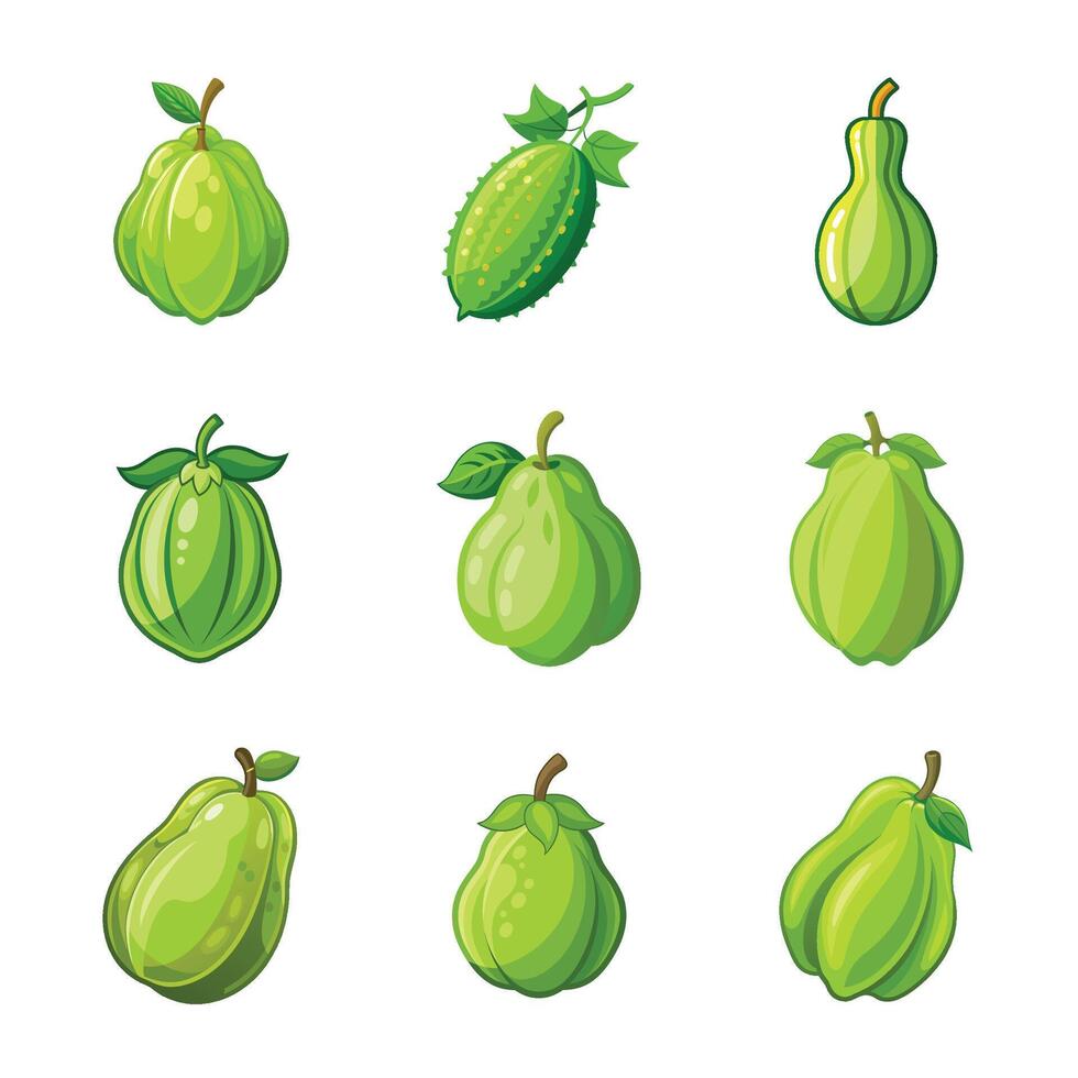 Green fruit on white vector