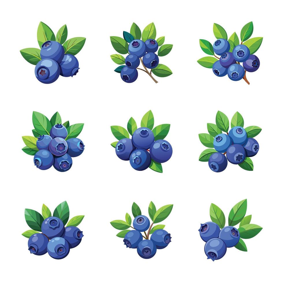Set of blueberry fruits vector