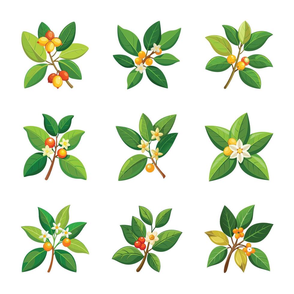 Spring flower collection vector