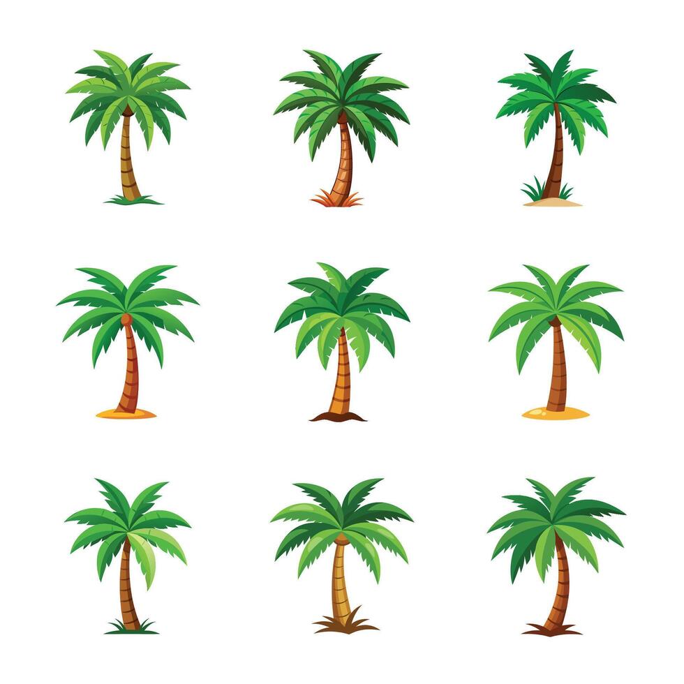 Pack of different palm trees vector