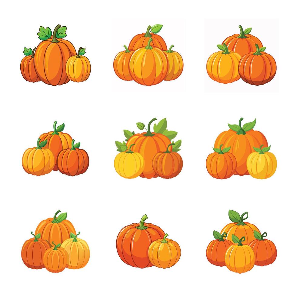 Pumpkin set on white vector