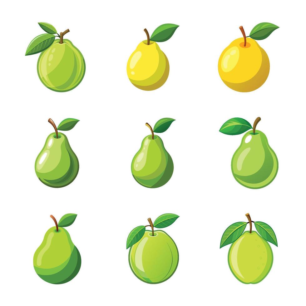 Set of pears fruit vector