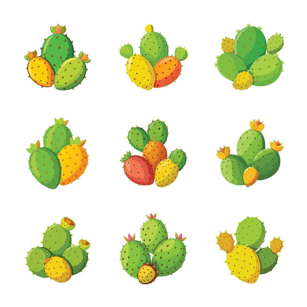 Cactus set isolated on white vector